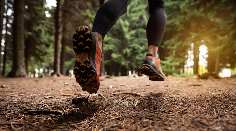 Best Budget Trail Running Shoes UK